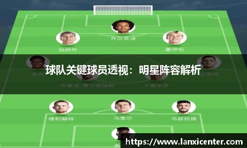 球队关键球员透视：明星阵容解析